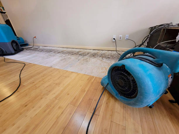 Professional Flood Damage Cleanup technician working in Ona, WV